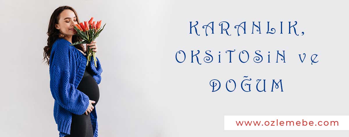 Oksitosin ve Doğum